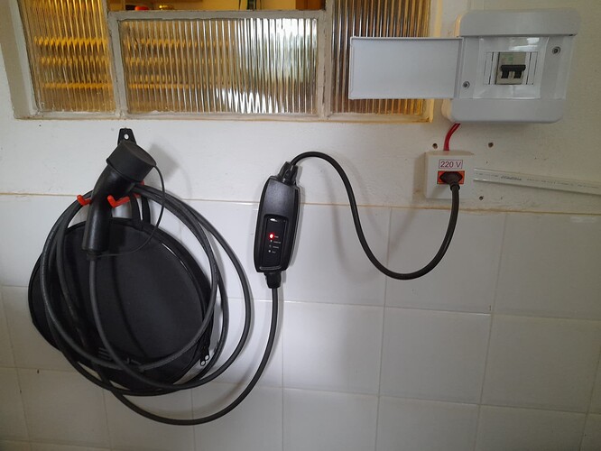 Carregador E-Wolf Byd Dolphin